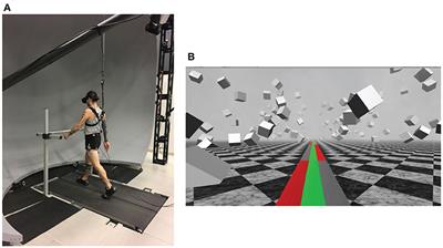 Flexible Recruitment of Balance Mechanisms to Environmental Constraints During Walking